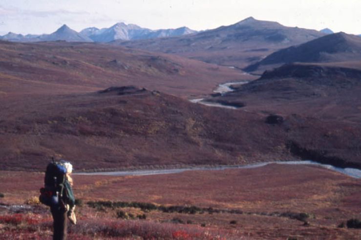 A lone backpacker standing above a river valley, looking out over the rolling tundra below, in the faded red of autumn color.